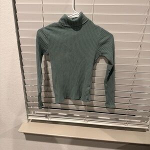 Zara Sage Ribbed Turtleneck Sweater